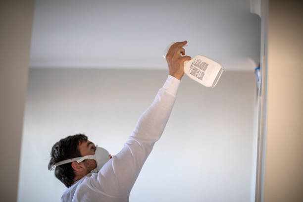 Reliable Las Quintas Fronterizas, TX Mold Remediation Solutions